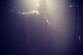 IMG_5772 IMG_5772